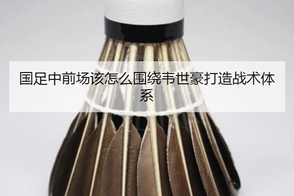 img_1781352961395_40_1_966.jpg